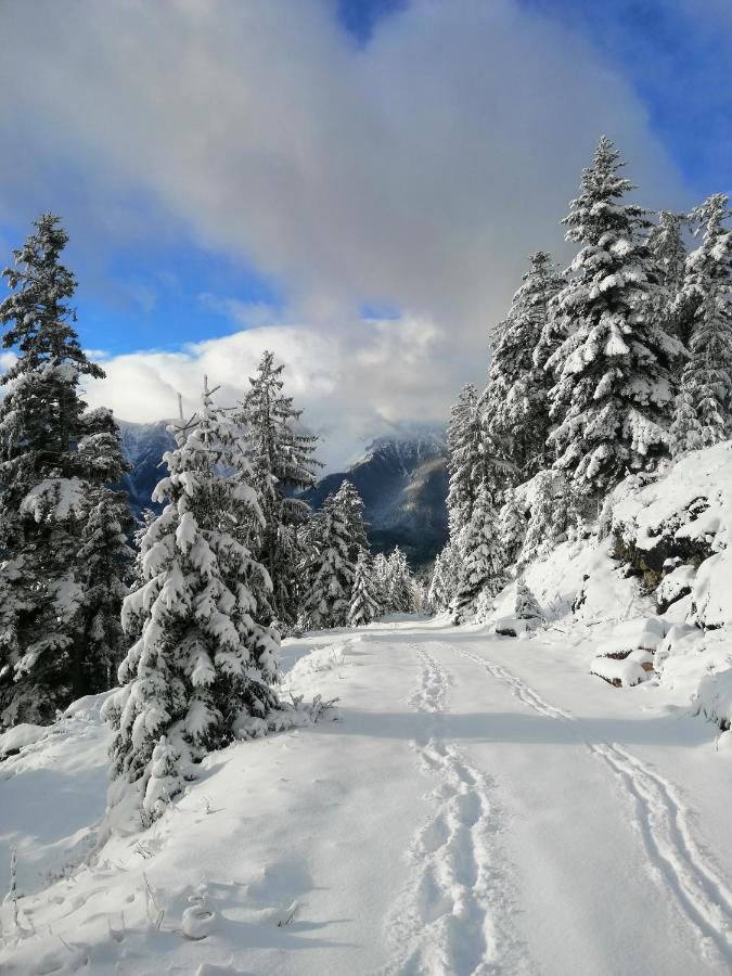 Haus Lenz Ferienwohnungen - Fam Ostermann Puchberg am Schneeberg Zewnętrze zdjęcie