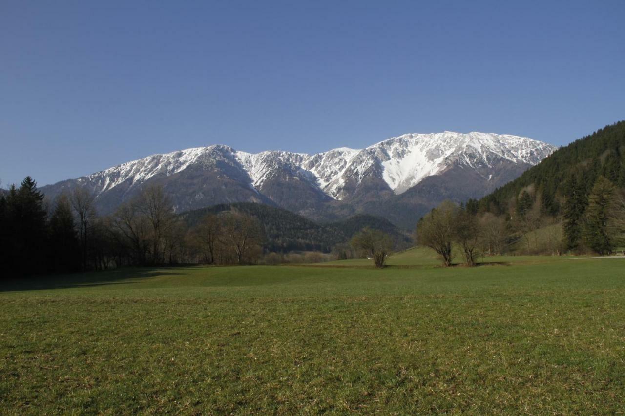Haus Lenz Ferienwohnungen - Fam Ostermann Puchberg am Schneeberg Zewnętrze zdjęcie