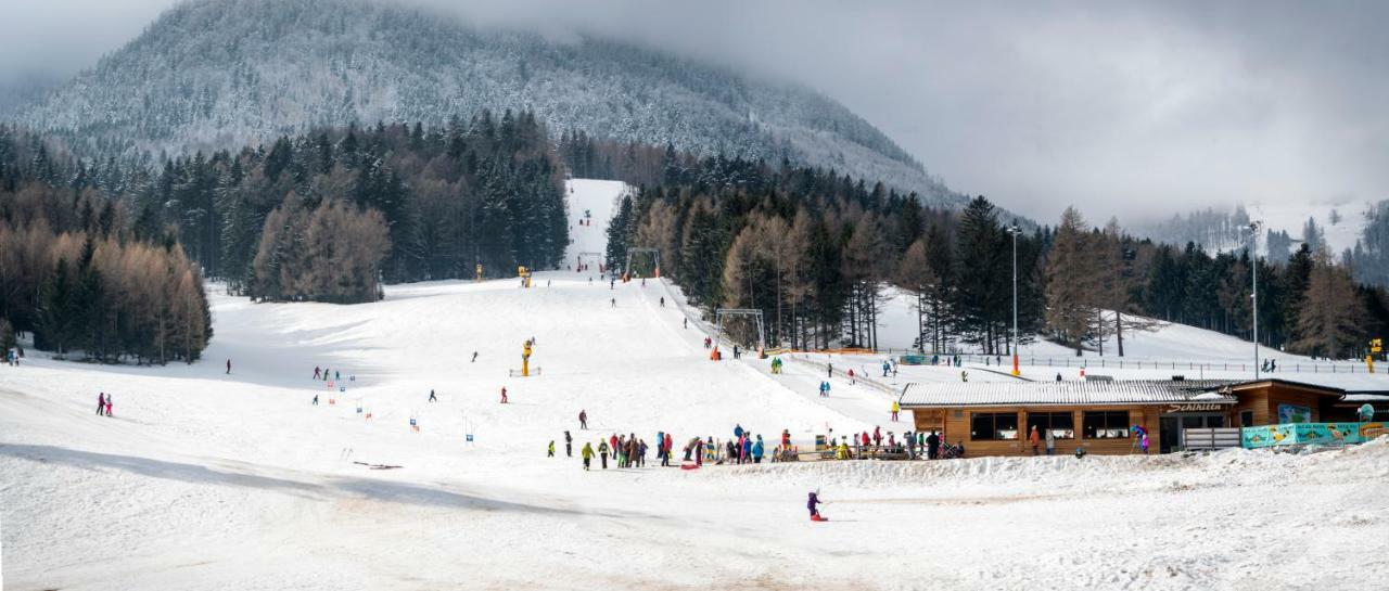 Haus Lenz Ferienwohnungen - Fam Ostermann Puchberg am Schneeberg Zewnętrze zdjęcie